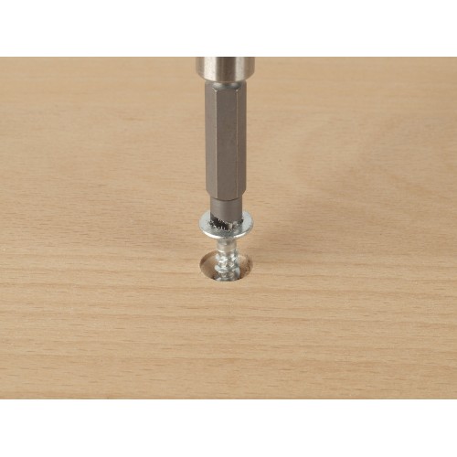 Juego de puntas para tornillos con perfil defectuoso, 2 piezas - Imagen 4