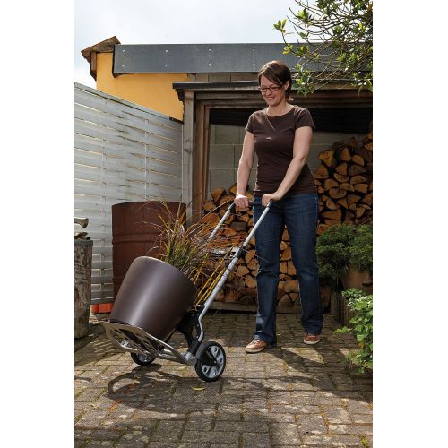 Carro de transporte TS 850 - Imagen 5