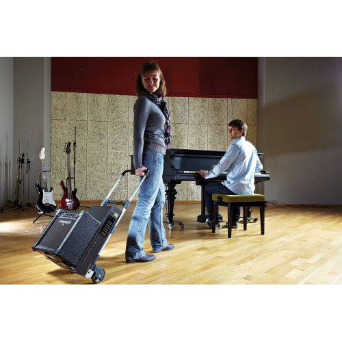 Carro de transporte TS 300 - Imagen 4