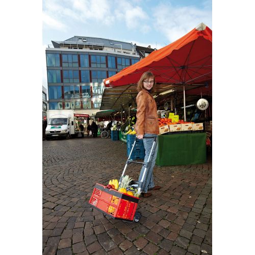 Carro de transporte TS 300 - Imagen 11