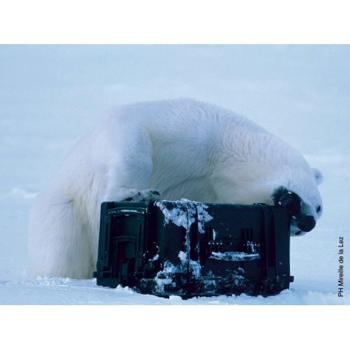 Maleta estanca de protección Explorer 4412 - Imagen 13